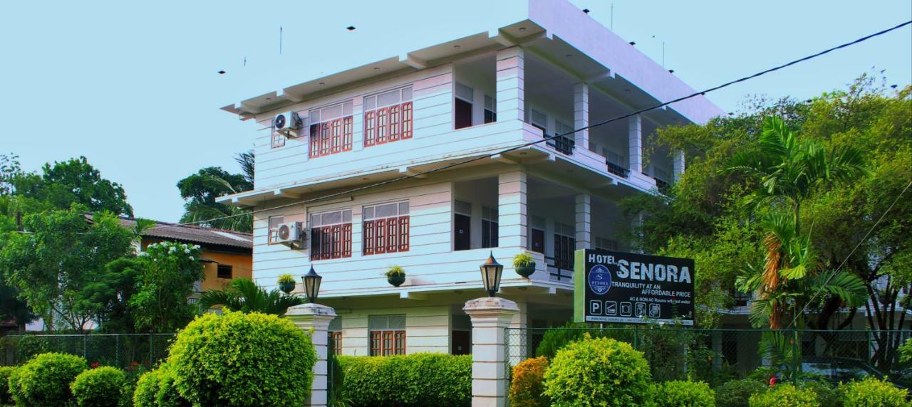 Hotel Senora กตรคาม ภายนอก รูปภาพ